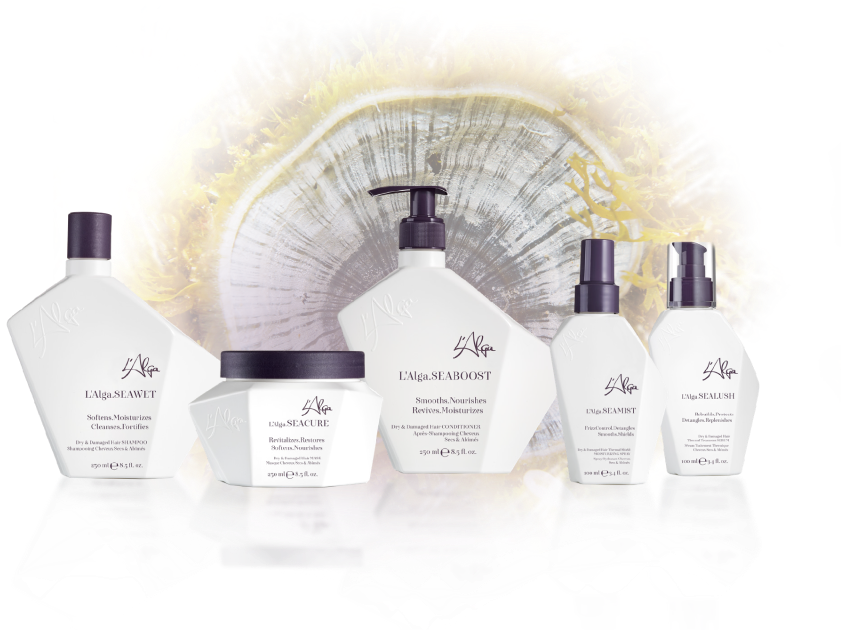 L'Alga .SEAMORE Dry & Damaged, Medium to Coarse Hair