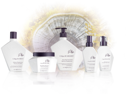 L'Alga .SEAMORE Dry & Damaged, Medium to Coarse Hair