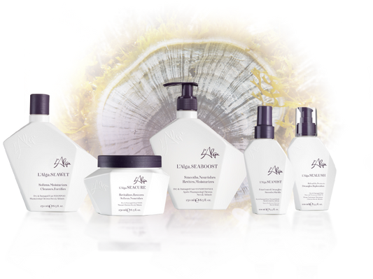 L'Alga .SEAMORE Dry & Damaged, Medium to Coarse Hair
